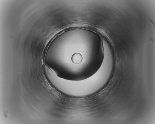 X0000099951268200806131439