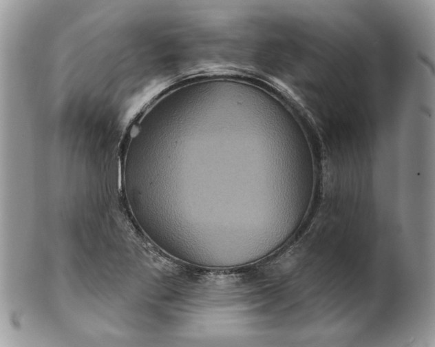 X0000099951269200806131439