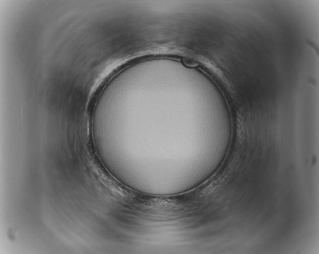 X0000099951270200806131439