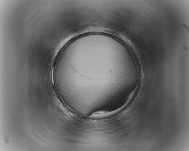 X0000099951272200806131439