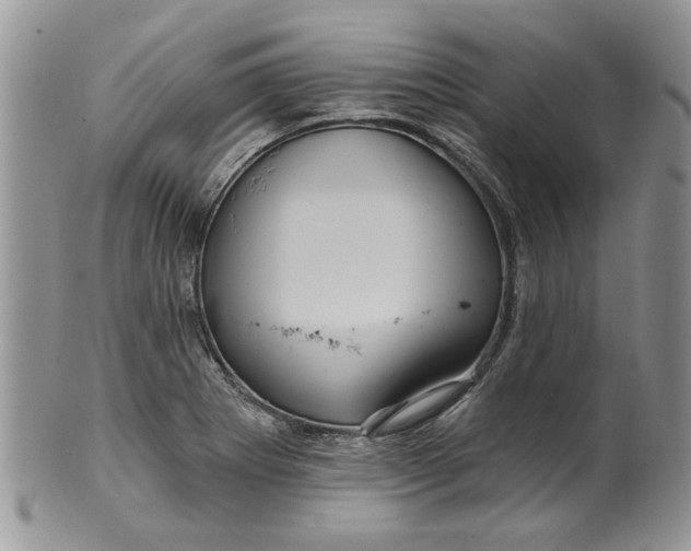 X0000099951273200806131439