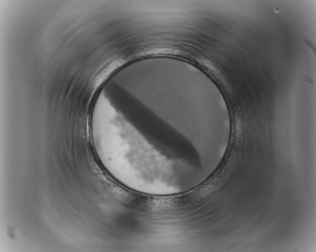 X0000099951274200806131439