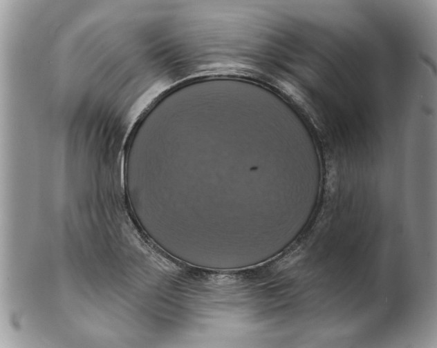 X0000099951275200806131439