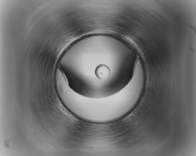 X0000099951276200806131439