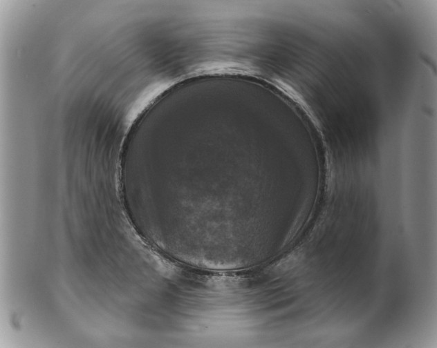 X0000099951277200806131439