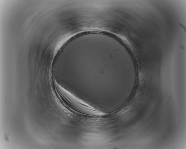 X0000099951279200806131439