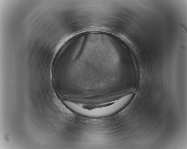 X0000099951280200806131439