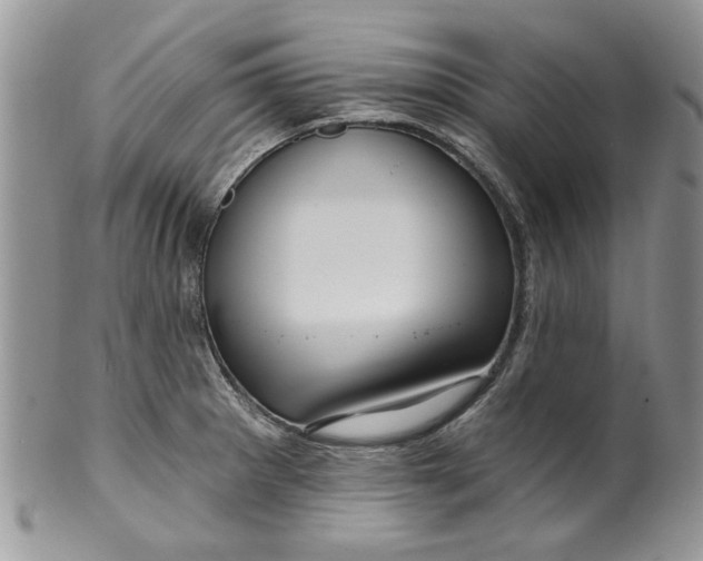 X0000099951281200806131439