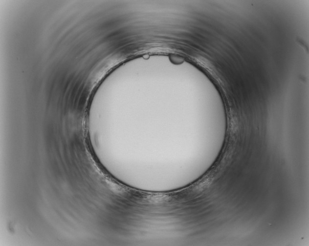 X0000099951282200806131439