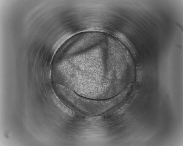 X0000099951284200806131439