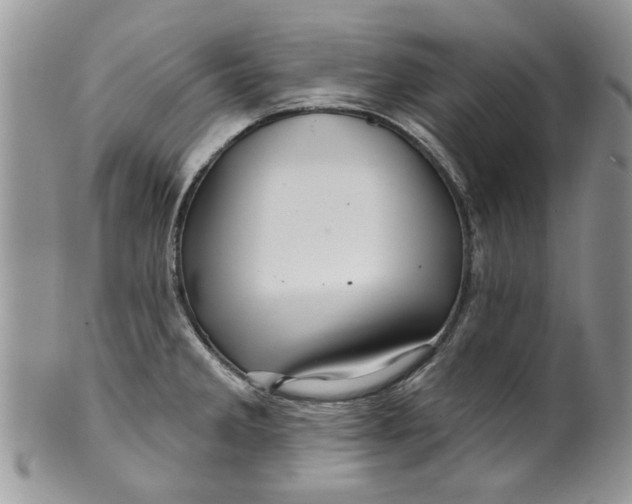 X0000099951285200806131439