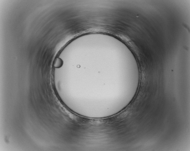 X0000099951286200806131439