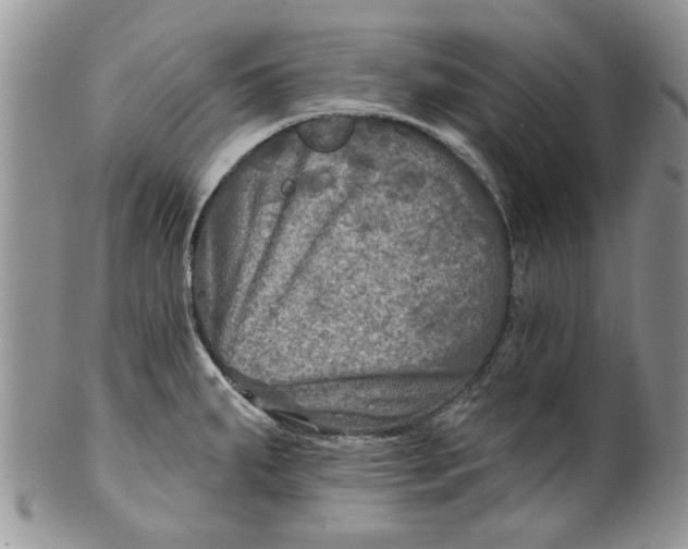 X0000099951287200806131439