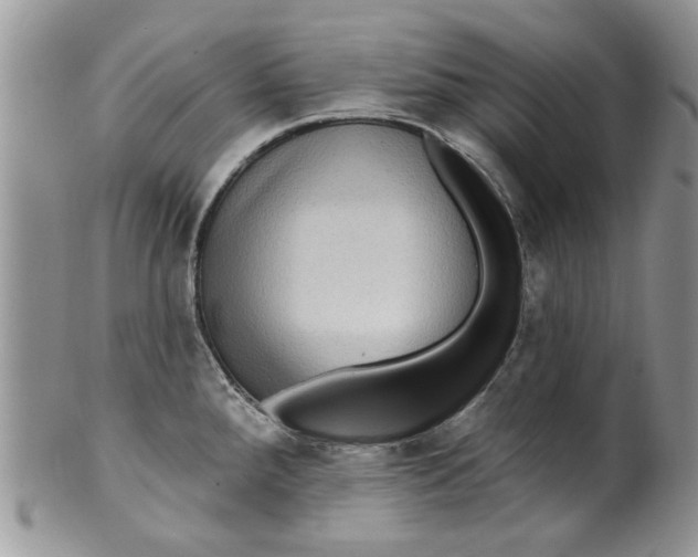 X0000099951288200806131439