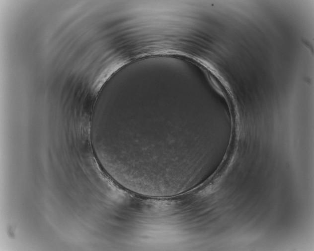 X0000099951289200806131439