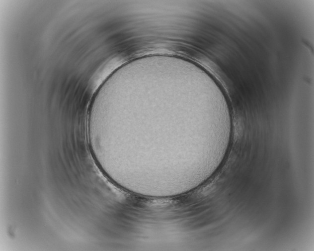 X0000099951290200806131439