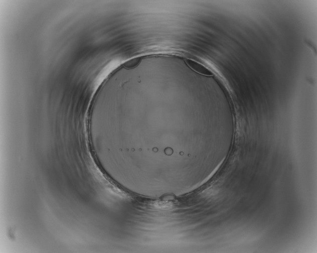 X0000099951291200806131439