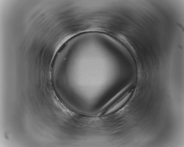 X0000099951292200806131439