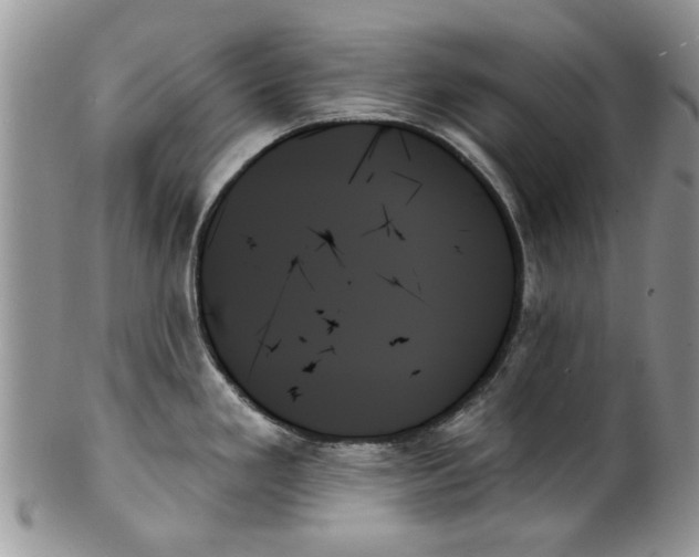 X0000099951293200806131439