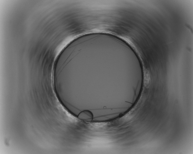 X0000099951294200806131439