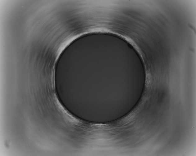 X0000099951295200806131439