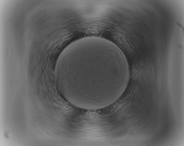 X0000099951297200806131438