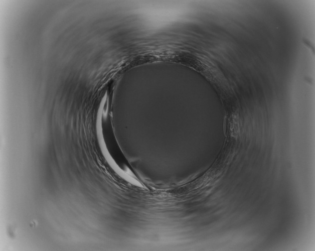 X0000099951298200806131438