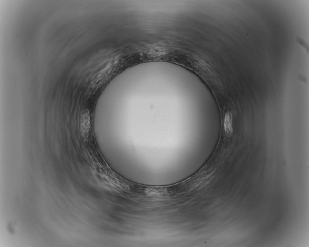 X0000099951299200806131438