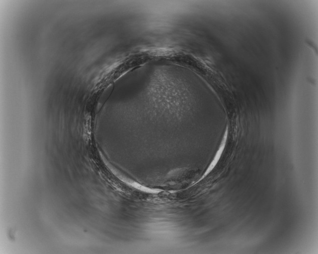 X0000099951301200806131438