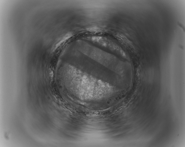 X0000099951302200806131438