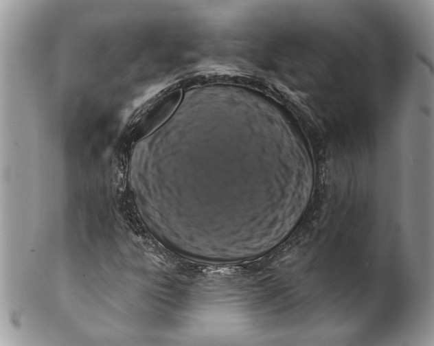 X0000099951303200806131438