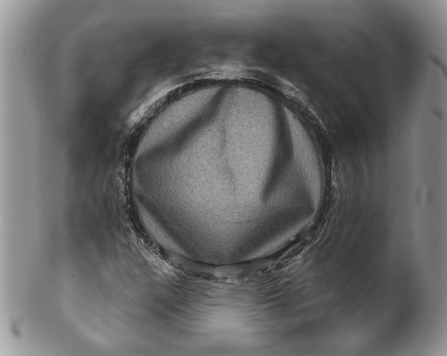 X0000099951304200806131439