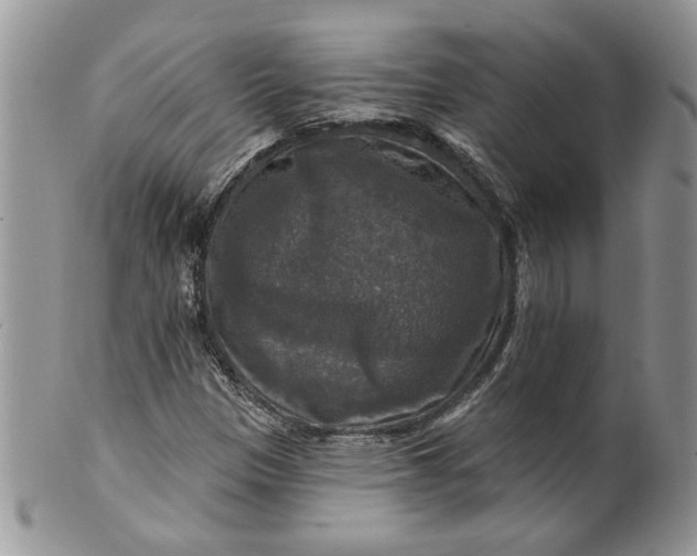 X0000099951305200806131439