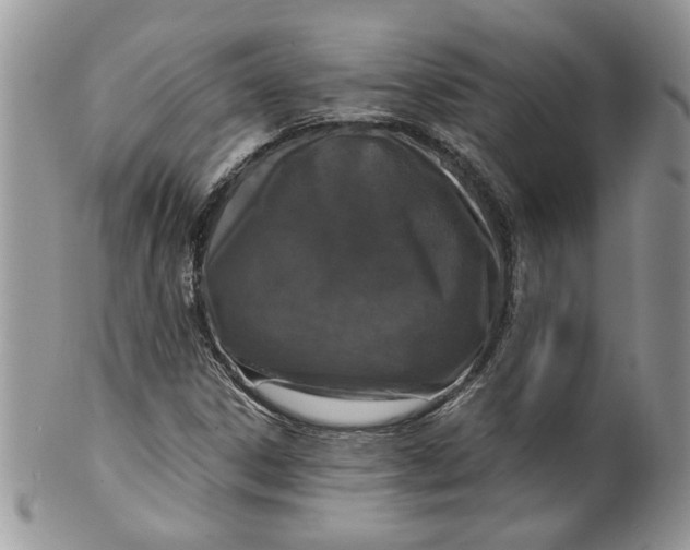 X0000099951306200806131439