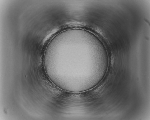 X0000099951309200806131439