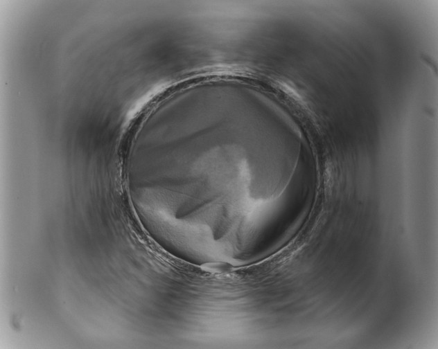 X0000099951310200806131439