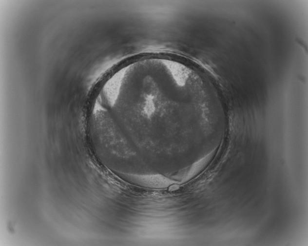 X0000099951311200806131439