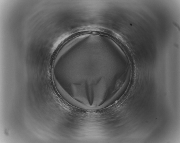 X0000099951312200806131439