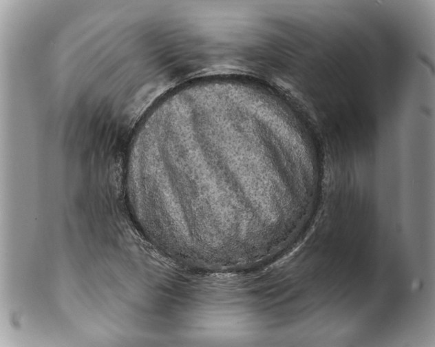 X0000099951313200806131439