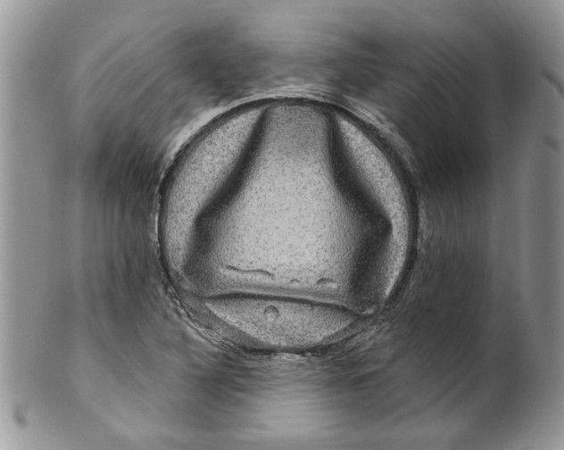 X0000099951316200806131439