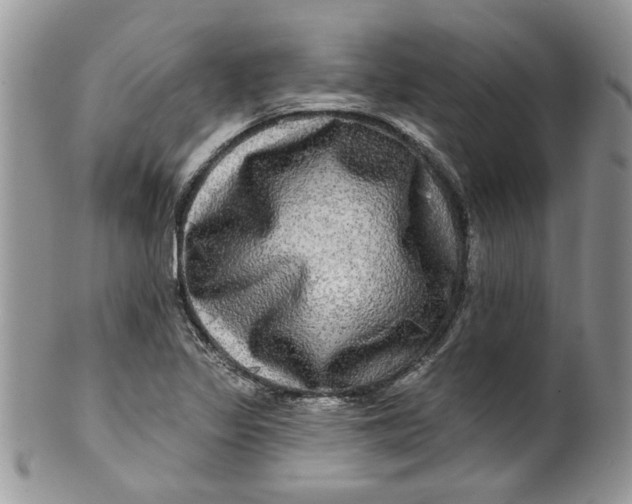 X0000099951317200806131439