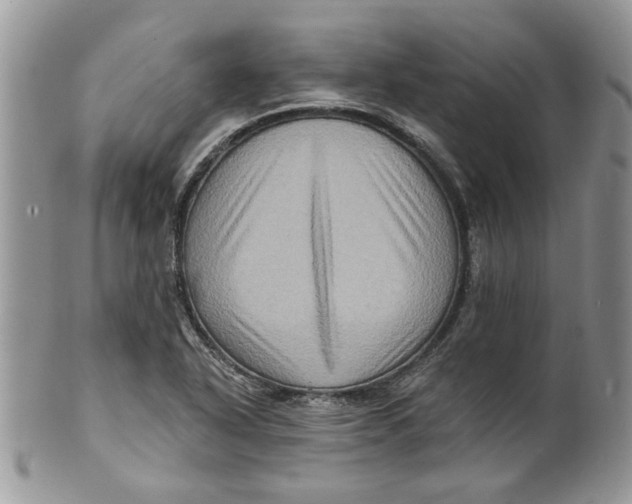 X0000099951318200806131439