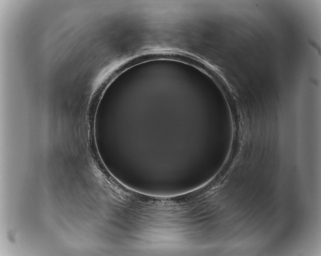 X0000099951319200806131439