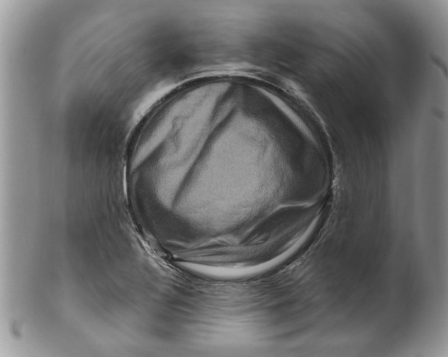 X0000099951320200806131439