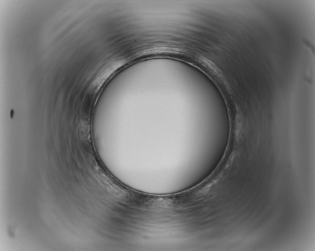 X0000099951321200806131439