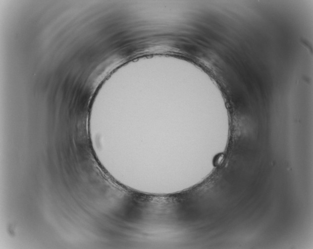 X0000099951322200806131439