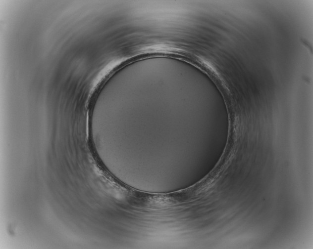 X0000099951323200806131439