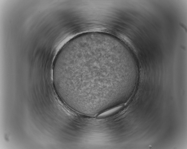 X0000099951324200806131439