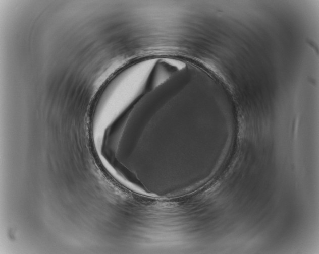 X0000099951325200806131439