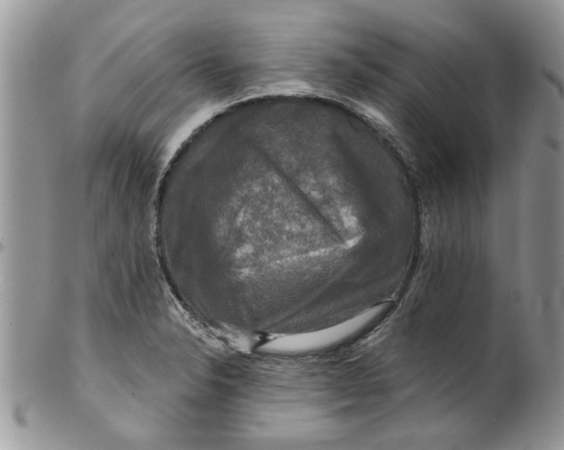 X0000099951326200806131439